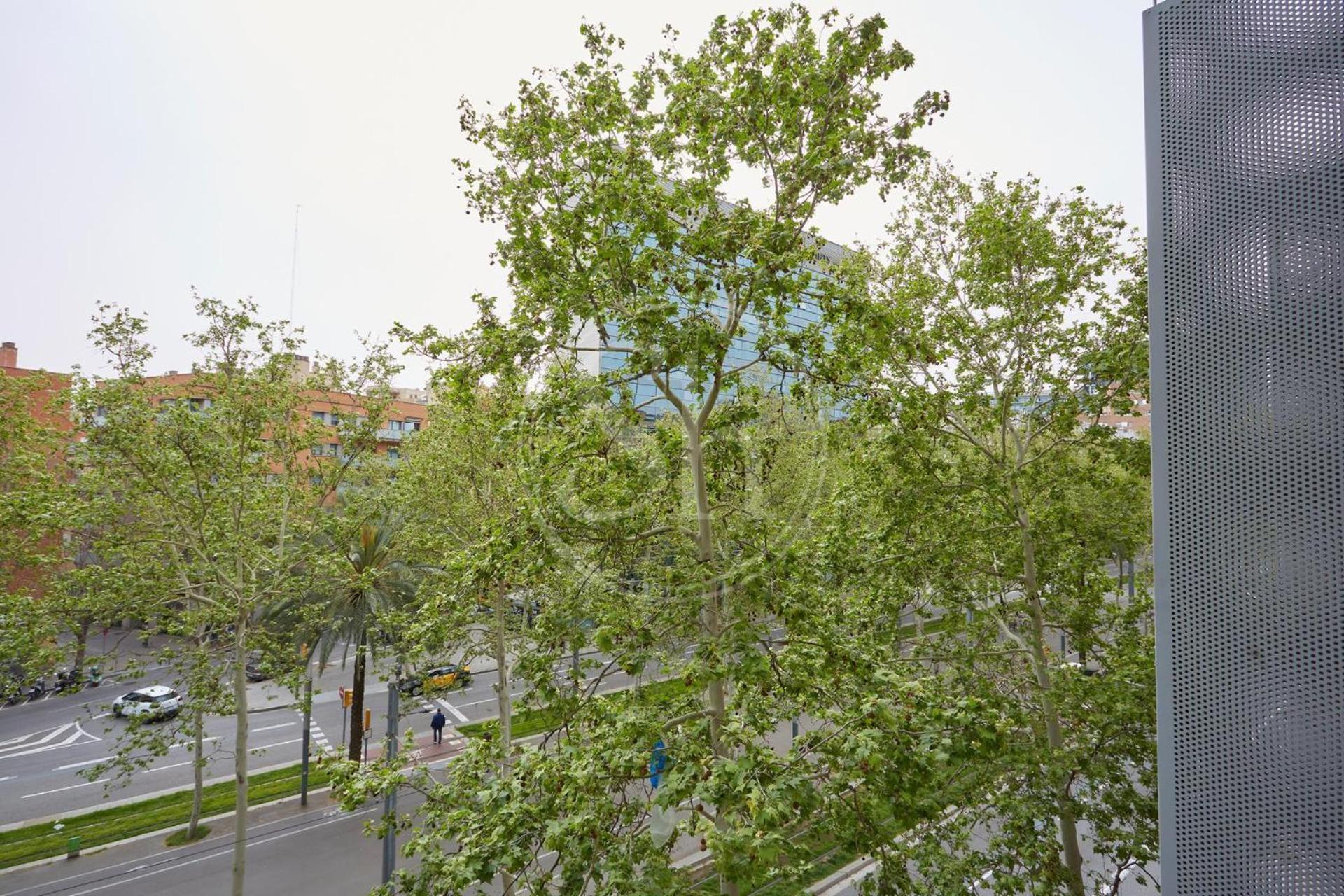 Comodo En Diagonal Apartamento Barcelona